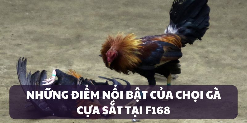 Đá Gà Cựa Sắt F168 — Màn So Găng Đẫm Máu Và Kịch Tính 5 Điểm nổi bật của sảnh