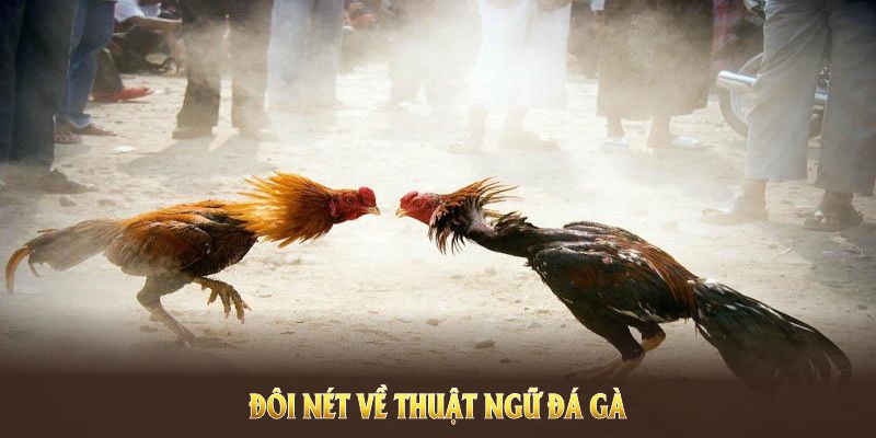 Cập Nhật Thuật Ngữ Đá Gà Chi Tiết Mới Nhất Cho Mọi Kê Thủ 4 Đôi nét về thuật ngữ đá gà và lý do trò chơi được ưa chuộng
